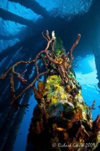 Salt Pier-Bonaire-Canon 16-35 mm by Richard Goluch 
